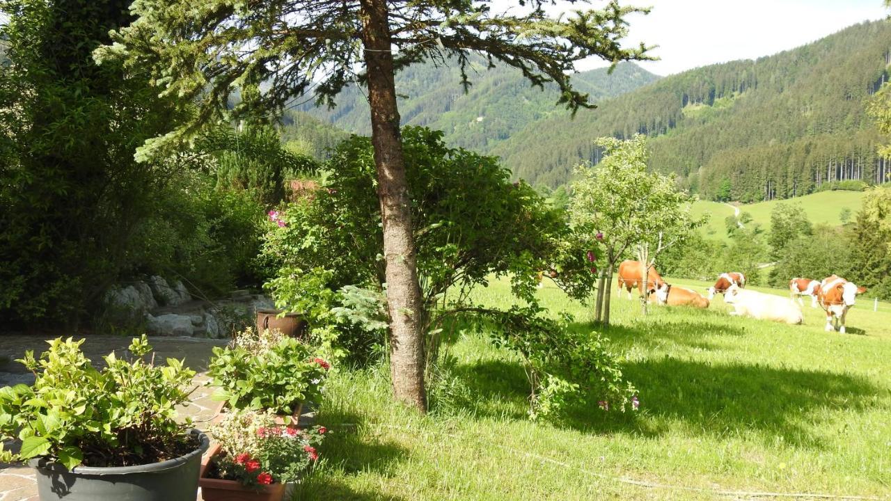 Gross Lettenwag Göstling an der Ybbs Esterno foto